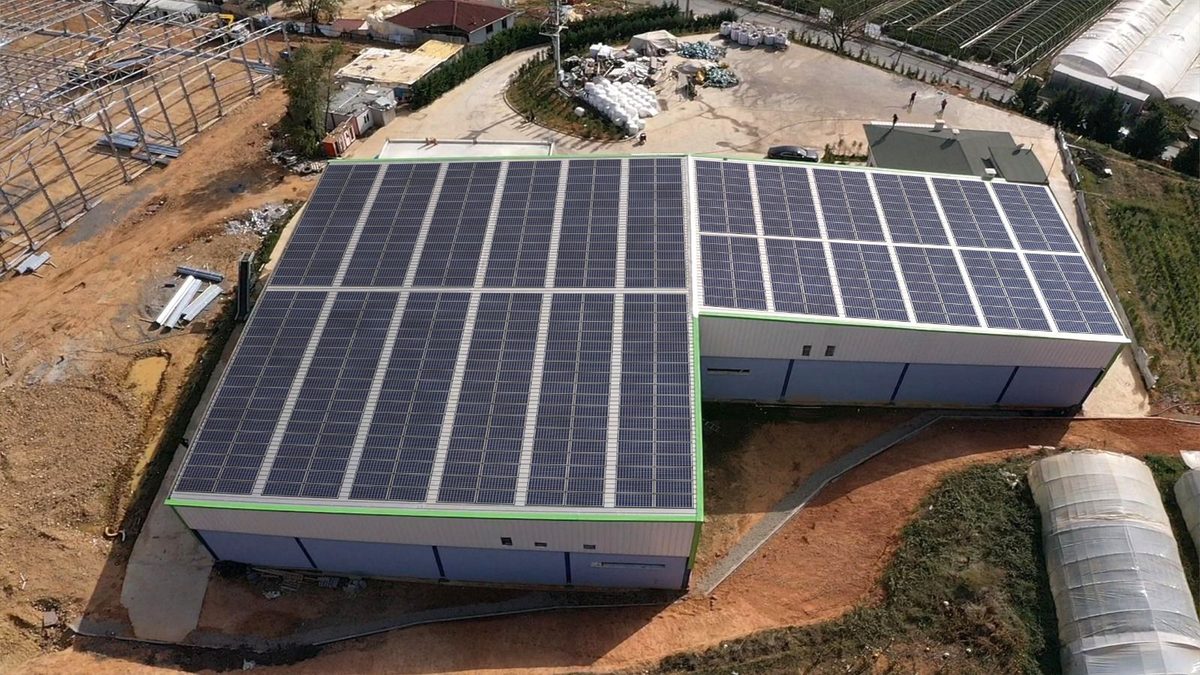 Levent Mantarcılık Güneş Enerjisi Santrali - Kocaeli